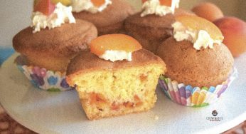 Muffin con albicocche all’olio