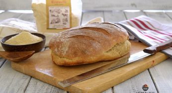 Pane di grano antico Senatore Cappelli