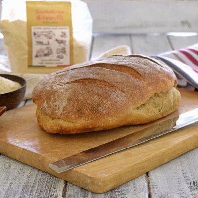 Pane di grano antico Senatore Cappelli