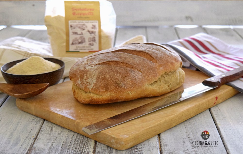 Pane di grano antico Senatore Cappelli