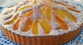 Torta alle pesche e albicocche soffice