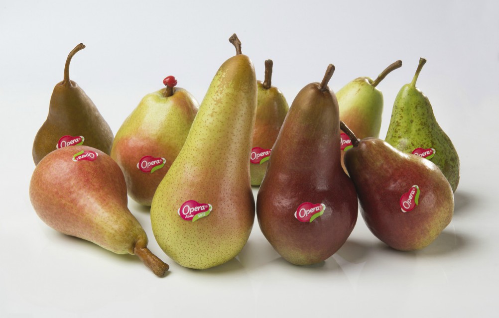Aceto non filtrato dalle pere Opera, la novità di Monari Federzoni e Consorzio Opera