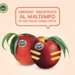 Le pesche e Nettarine di Romagna IGP non si arrendono, al via la campagna di comunicazione
