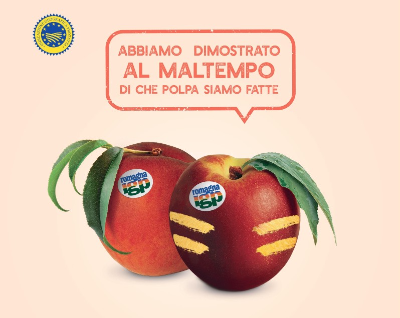 Le pesche e Nettarine di Romagna IGP non si arrendono, al via la campagna di comunicazione