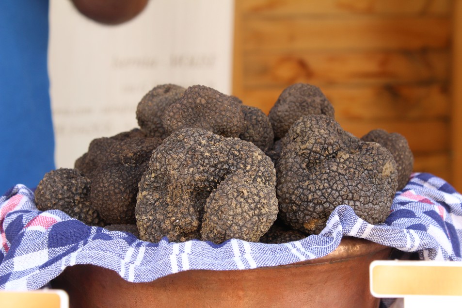 A San Pietro Avellana al via la 32° Fiera del Tartufo Nero tra stand, degustazioni e artisti di strada