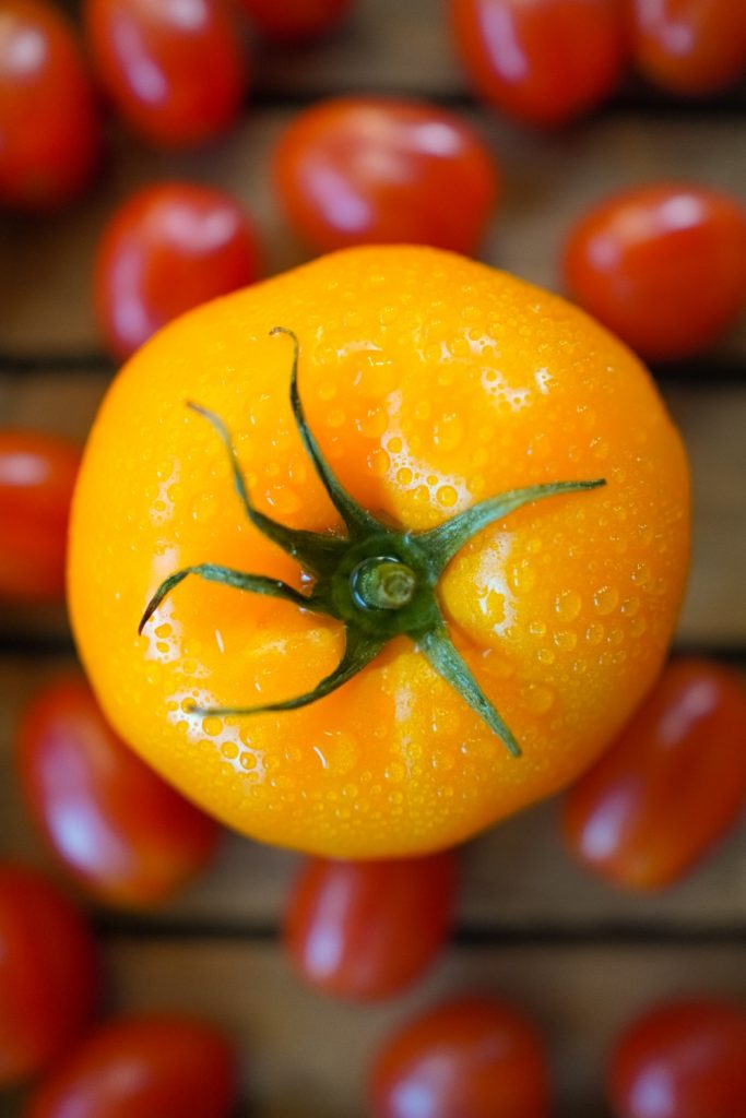 Il pomodorino giallo: conoscerlo da vicino