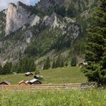 Territorio e cibo: come il Trentino sfrutta la sperimentazione a favore dei formaggi con l’innovativa stagionatura ipogea