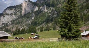 Territorio e cibo: come il Trentino sfrutta la sperimentazione a favore dei formaggi con l’innovativa stagionatura ipogea