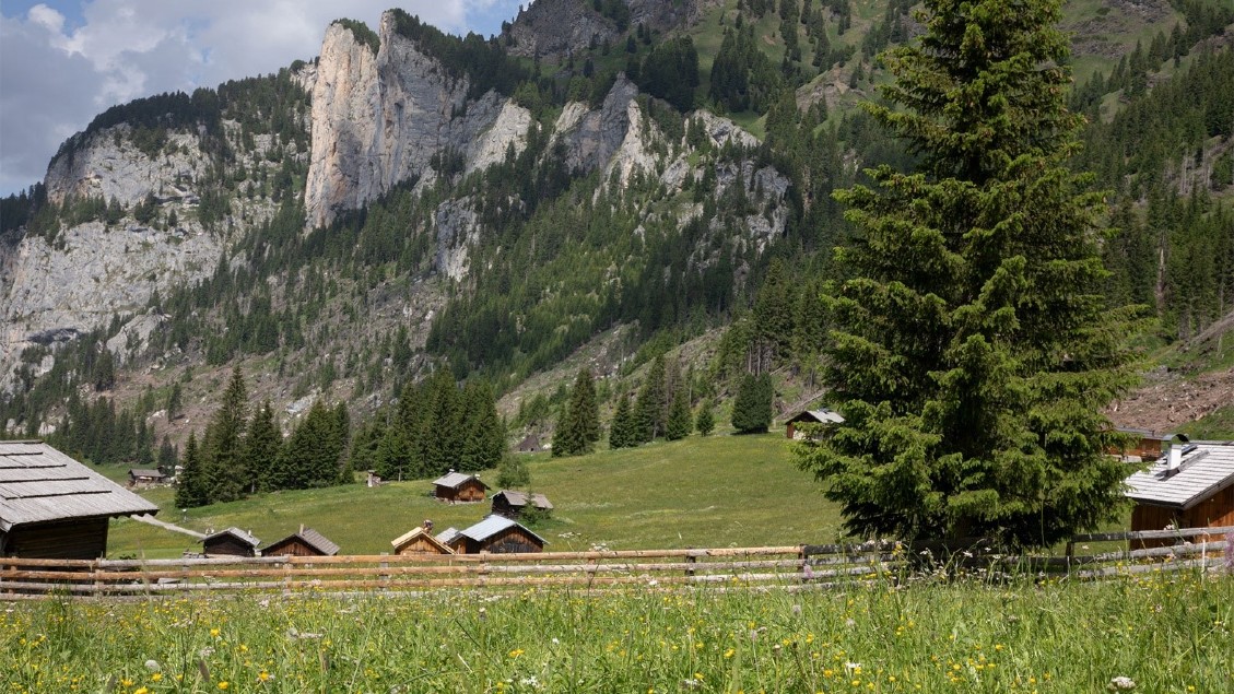 Territorio e cibo: come il Trentino sfrutta la sperimentazione a favore dei formaggi con l’innovativa stagionatura ipogea