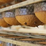 Panettoni di Natale Made in Sicily della Pasticceria Tomarchio