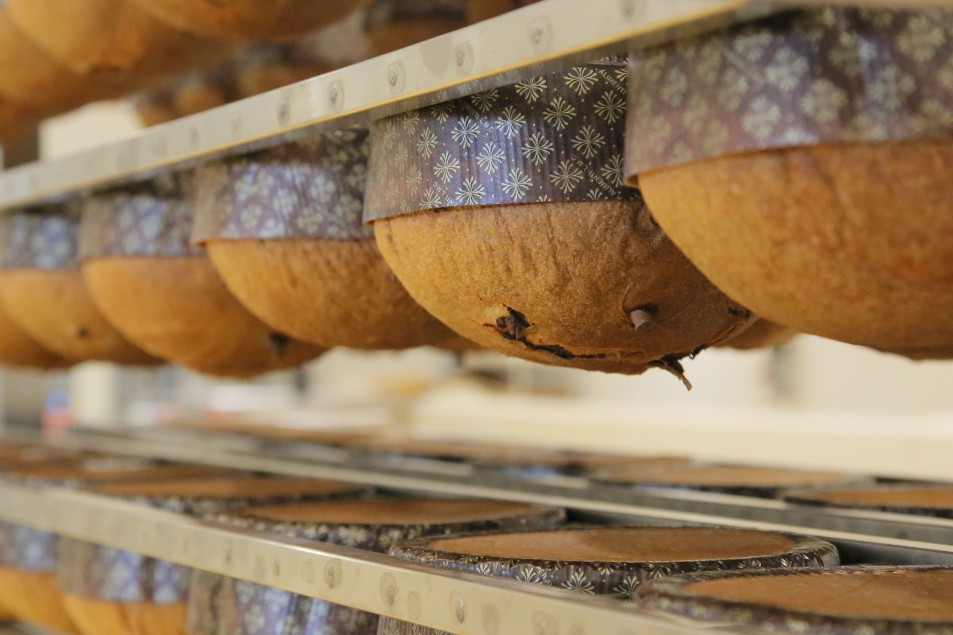 Panettoni di Natale Made in Sicily della Pasticceria Tomarchio