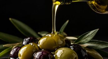 Come abbinare l’olio extravergine ai cibi: la guida per scegliere senza sbagliare